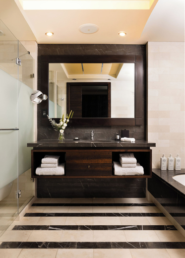Bathroom 5, The Dan Carmel Hotel