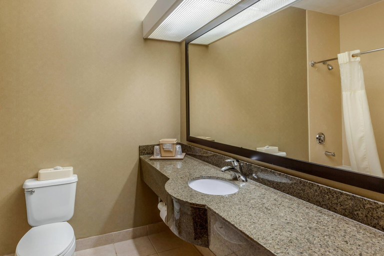 Bathroom 4, Quality Suites Sherman, Grayson
