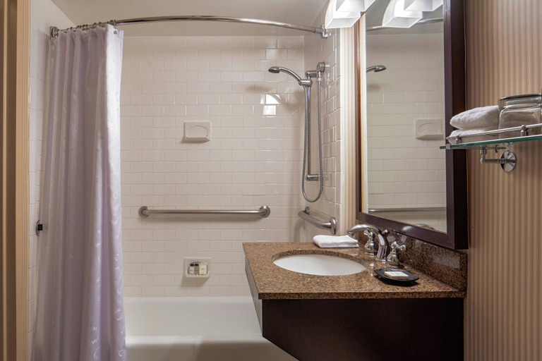 Bathroom 4, Sheraton Houston Brookhollow Hotel, Houston
