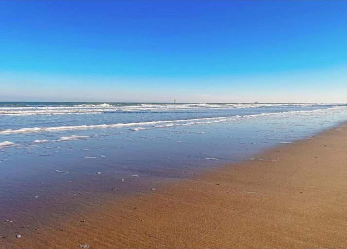 View from property 4, Duplex at Albert Beach With Stunning Sea Views, West-Vlaanderen