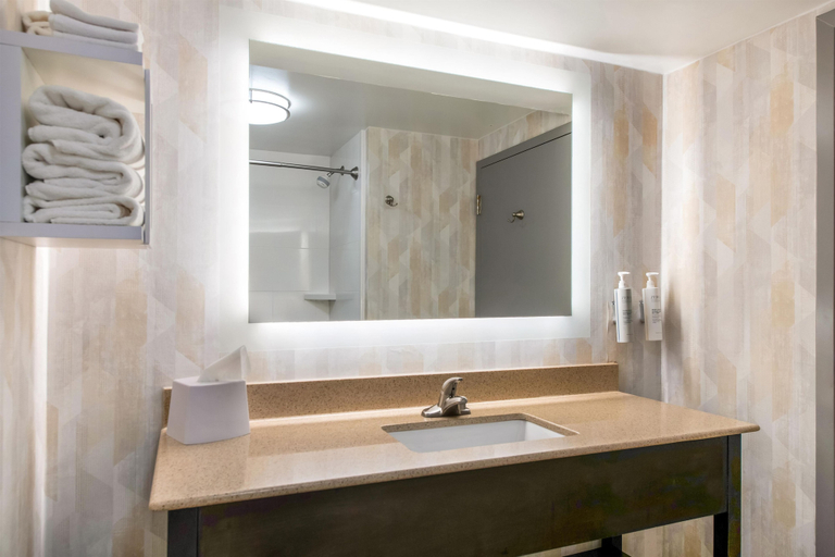Bathroom 4, Hampton Inn Milledgeville, Baldwin