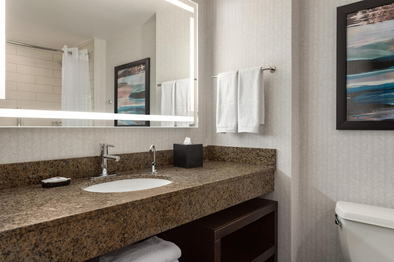 Bathroom 4, Embassy Suites by Hilton Atlanta at Centennial Olympic Park, Atlanta