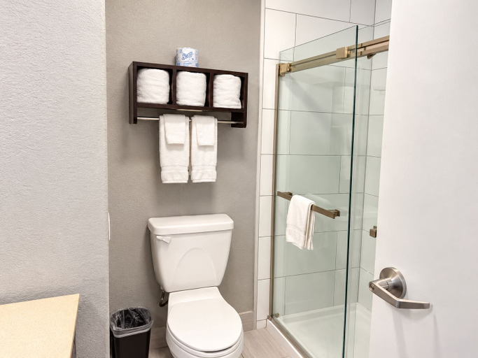 Bathroom 4, Baymont by Wyndham Henderson Northeast Denver, Adams