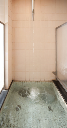 Bathroom 4, Subaruyado Yoshino, Tokushima