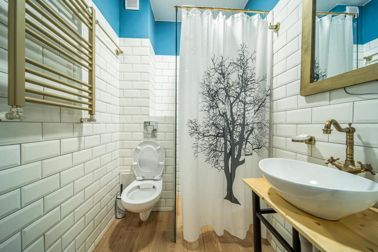 Bathroom 3, Raimond Palace, Borjomi