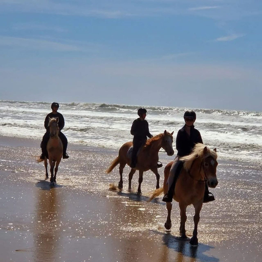 Primary image, Au Coeur du Ranch, Gironde