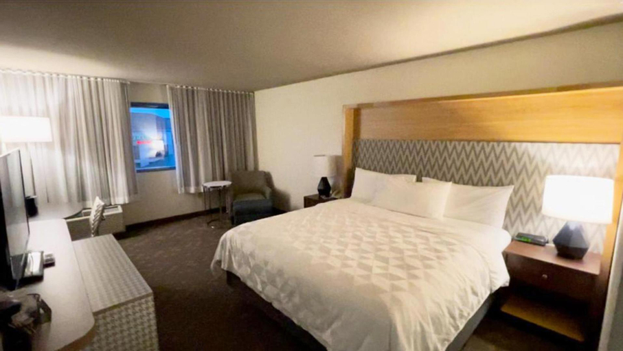 Others 3, Wyndham Flint MI/Grand Blanc/Bishop Airport/Conference Ct, Genesee