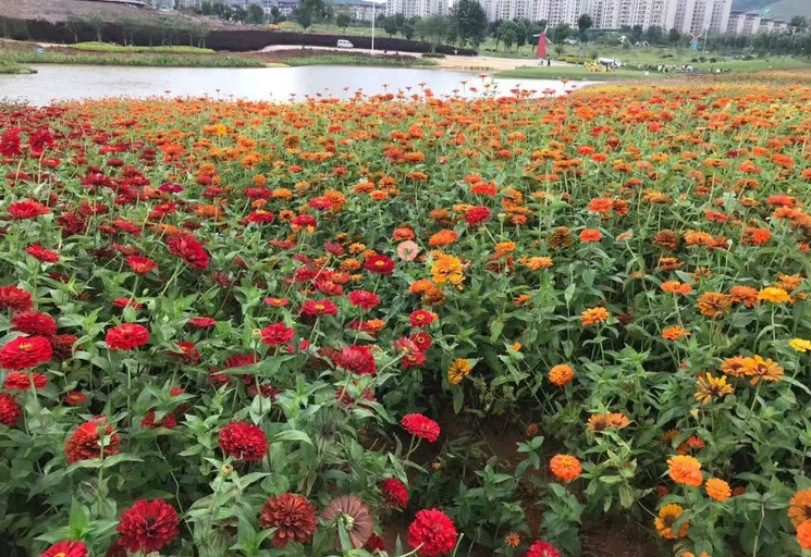 Others 5, Hanting Longyan Railway Station Zhongxing Road Hotel, Longyan