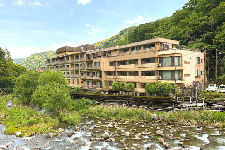 Exterior & Views 1, Hakone Pax Yoshino, Hakone
