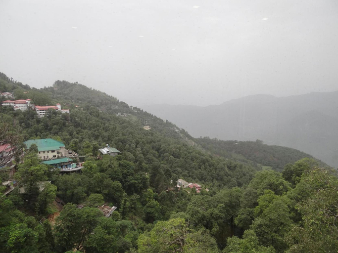 Others 5, Hotel Woods View, Dehradun