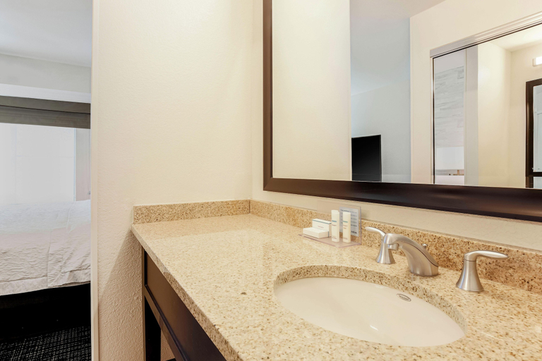 Bathroom 4, Hampton Inn & Suites Denver Tech Center, Denver