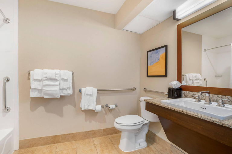 Bathroom 4, Comfort Suites Gastonia - Charlotte, Gaston