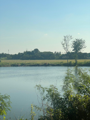 Others 5, Tungdindum Farm Stay, Muang Nakhon Pathom