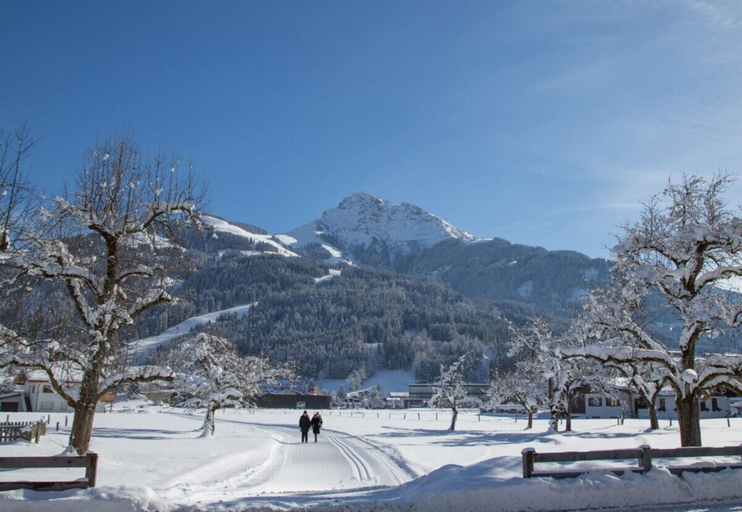 Miscellaneous 4, Premium Holiday Apartment With 1 Bedroom, Kitzbühel