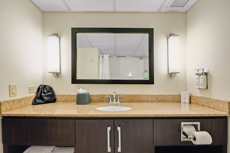 Bathroom 4, Holiday Inn PONCE & TROPICAL CASINO by IHG