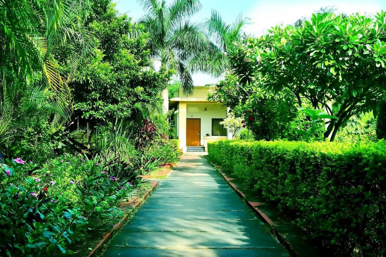 Front of property 5, Moti Bagh Resort, Sawai Madhopur