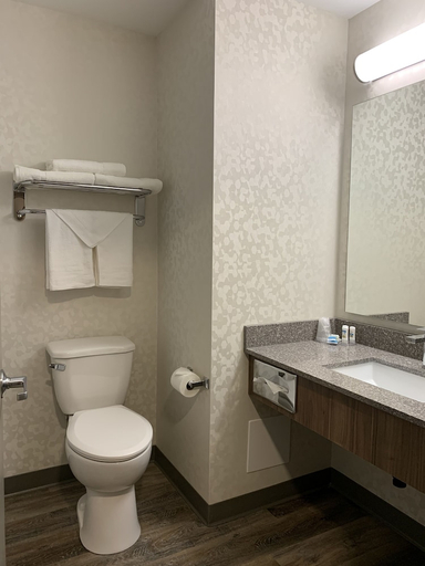 Bathroom, Meridian Inn & Suites Regina Airport, Division No. 6