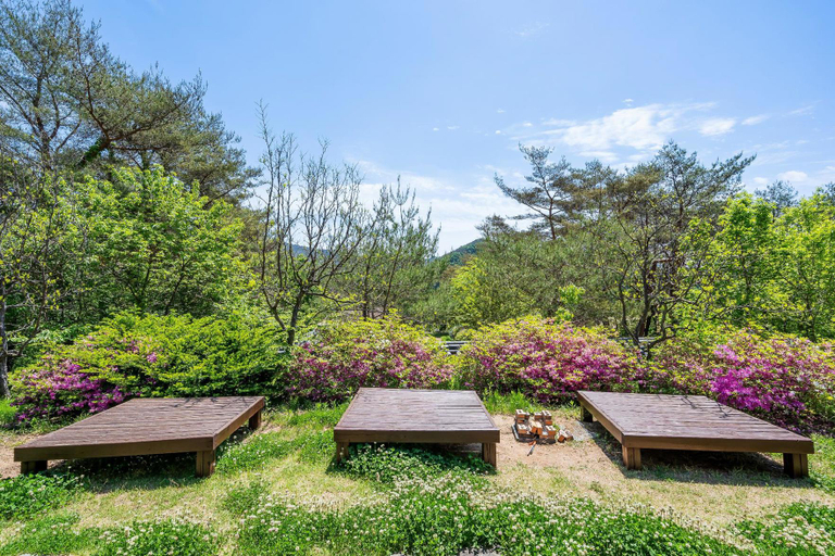 Others 3, yongyang sanchon saenghwal chaehum maeul pension, Yeongyang