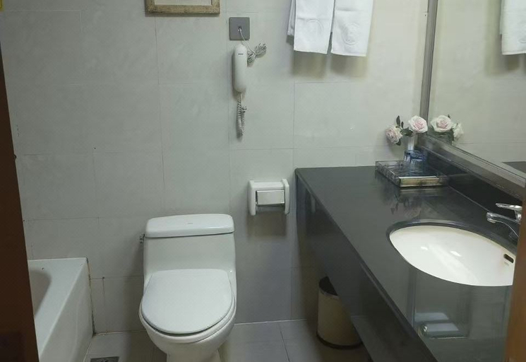 Bathroom 3, Oriental Hyat Hotel, Nanyang