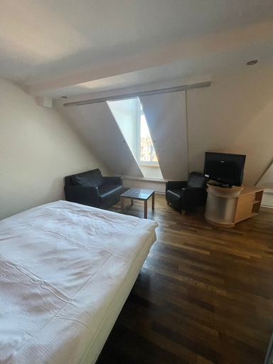Bedroom 2, Swiss Star Irchel, Zürich