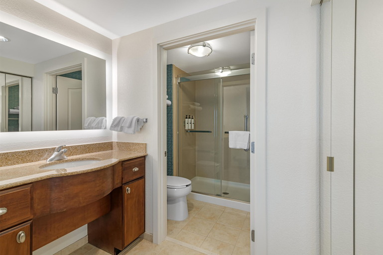 Bathroom 4, Homewood Suites by Hilton Dover, Strafford