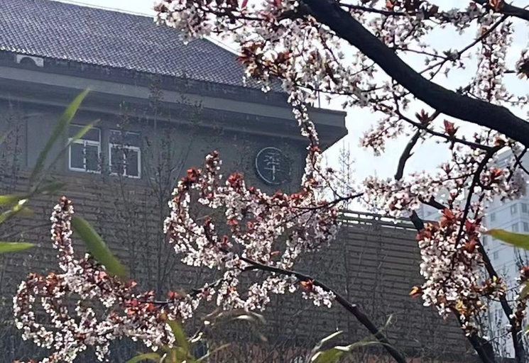 Exterior & Views 1, Ji Hotel Rizhao Middle Haiqu Road, Rizhao