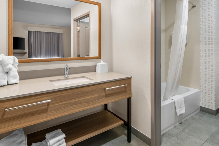 Bathroom 5, Hampton Inn and Suites Fort Worth/Forest Hill, Tarrant