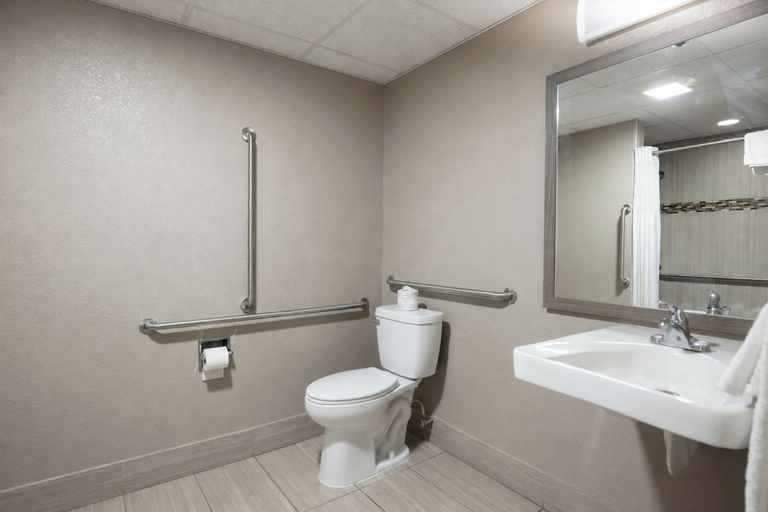 Bathroom 4, Red Roof Inn & Suites Middleborough, Plymouth