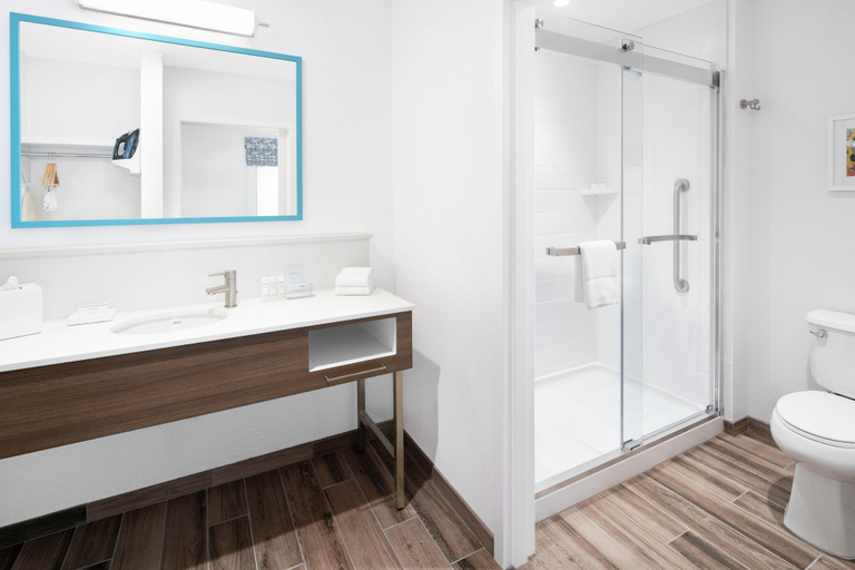 Bathroom 4, Hampton Inn & Suites Bridgeview Chicago, Cook