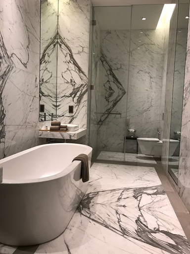 Bathroom 4, Roseate House, Delhi
