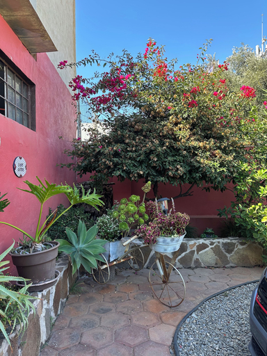 Property grounds, Misión Boutique, Ensenada
