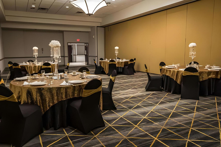 Others 1, Wyndham Flint MI/Grand Blanc/Bishop Airport/Conference Ct, Genesee