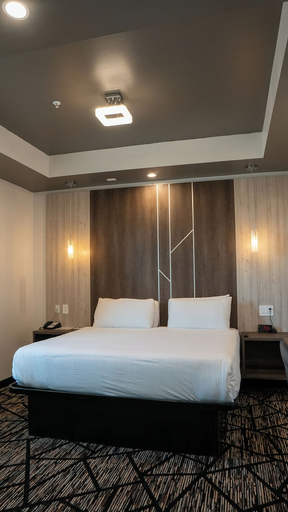 Others 5, Comfeeni Inn and Suites, Houston