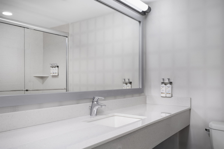 Bathroom 4, Birchwood Inn, BW Premier Collection, Division No. 11