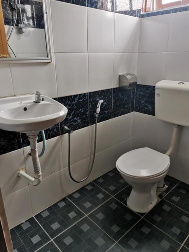 Bathroom 2, Hotel Rasa Sayang 2, Cameron Highlands