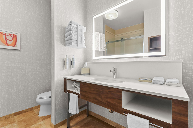 Bathroom 4, Hampton Inn & Suites El Paso West, El Paso