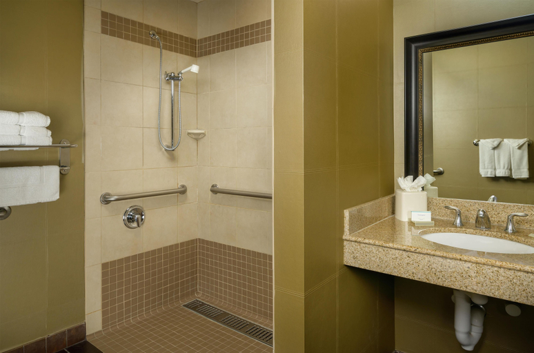 Bathroom 4, Hilton Garden Inn Phoenix Airport North, Maricopa