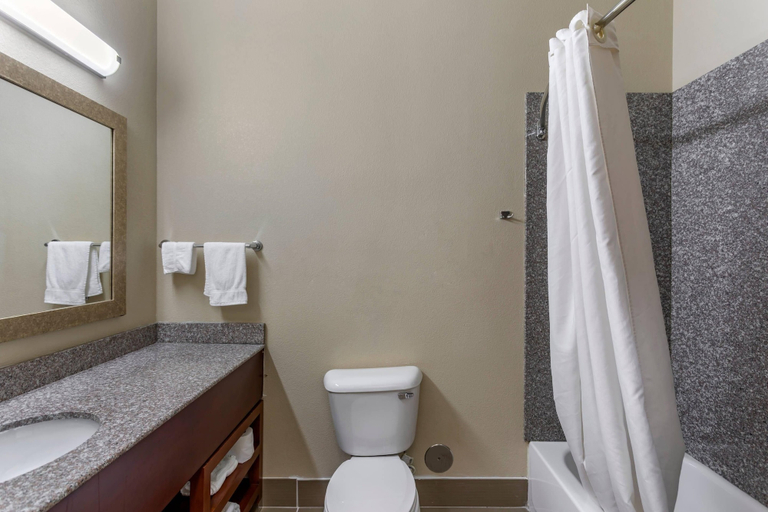 Bathroom 4, Comfort Inn & Suites Carbondale University Area, Jackson