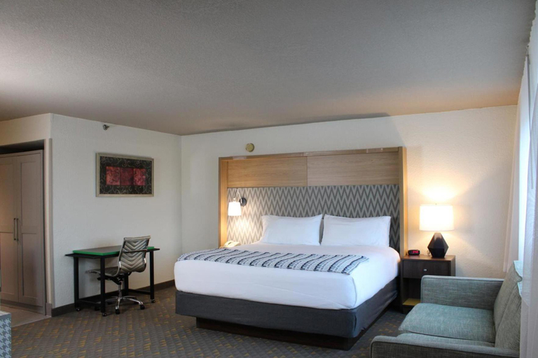 Others 2, Wyndham Flint MI/Grand Blanc/Bishop Airport/Conference Ct, Genesee