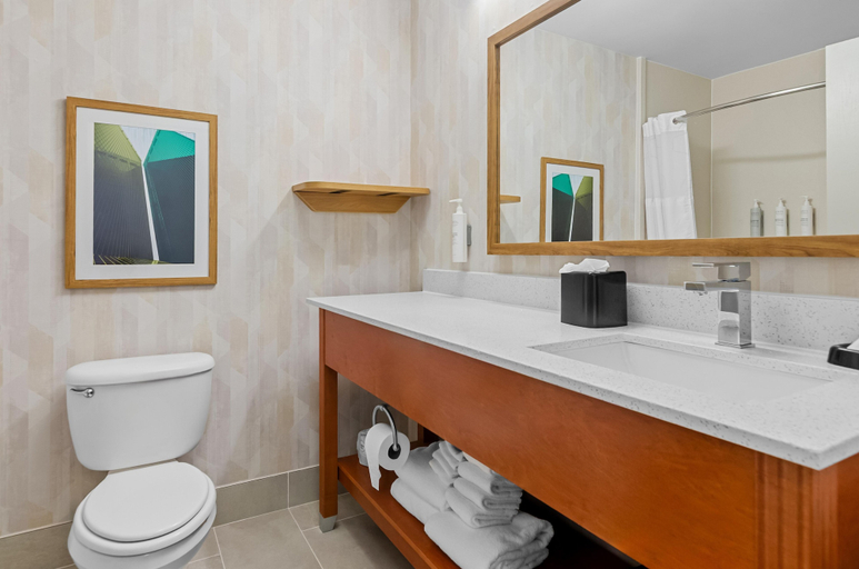 Bathroom 4, Hampton Inn Houston-Willowbrook Mall, Houston