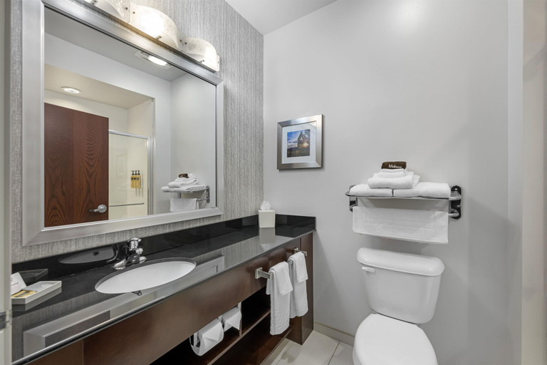 Bathroom 4, Best Western Plus The Hammondsport Hotel, Steuben