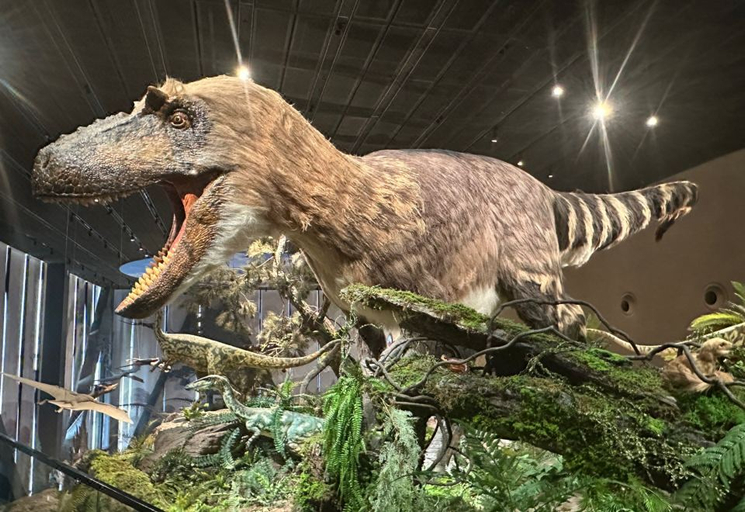 Others 4, Hanting Hotel Baoding Hebei University Qi Yi Road, Baoding