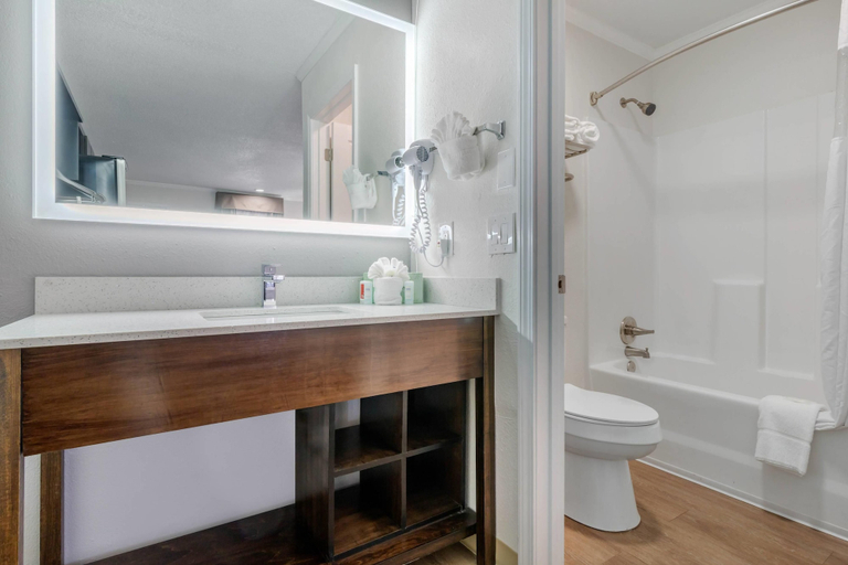 Bathroom 4, Suburban Studios at the University, Horry