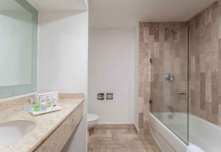 Bathroom 4, Baymont Inn and Suites Lazaro Cardenas, Lázaro Cárdenas