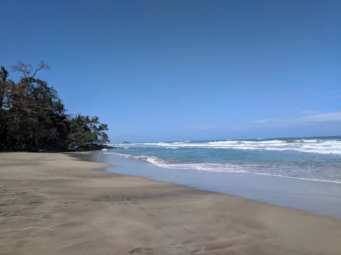 Beach 2, Caribbean Alchemy 3-5p Playa Cocles, Talamanca
