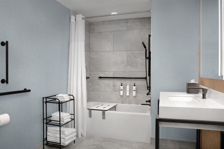 Bathroom 4, Embassy Suites by Hilton Birmingham Hoover, Jefferson