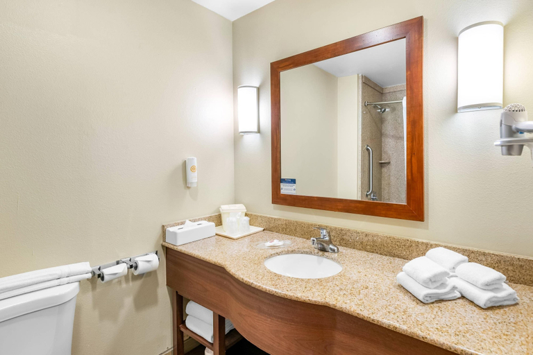 Bathroom 5, Comfort Suites Orlando International Airport, Orange