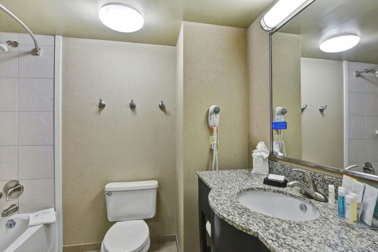 Bathroom 4, Hampton Inn Lewisburg, Union
