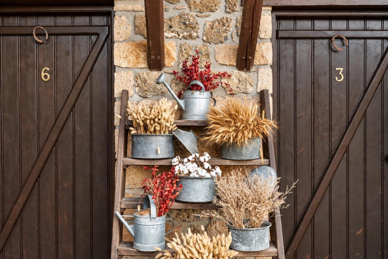 Food & Drinks 5, Nymfes Guesthouse, Peloponnese