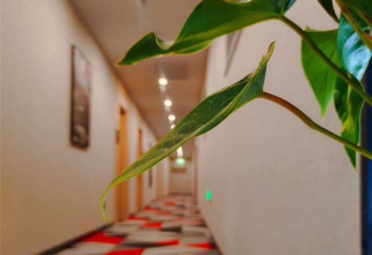 Bedroom 2, サンキューホテル（）, Linyi